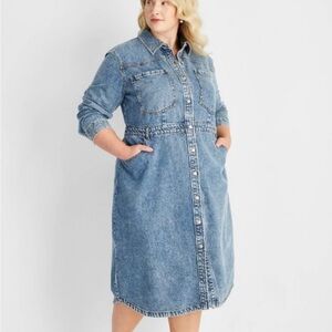 Future Collective Denim Button-Down Dress
